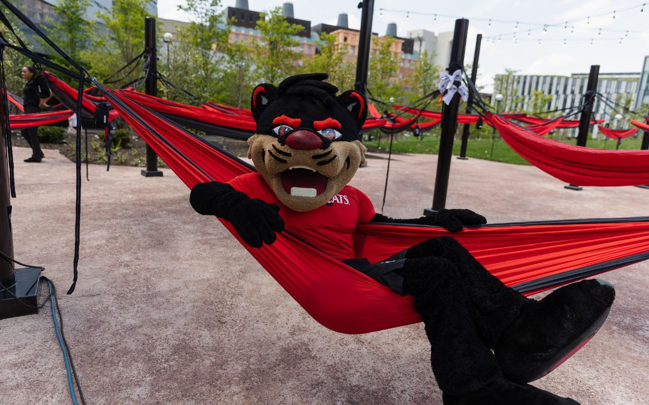 Hammock District